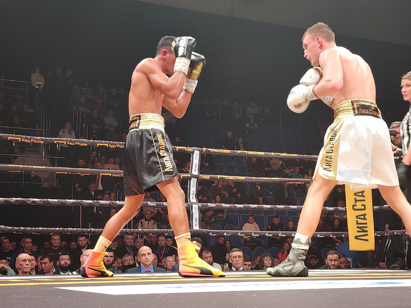 серпухов, подмосковье, сб лесная опушка, шумков, Сусленков, Сосулин, федерация бокса россии,