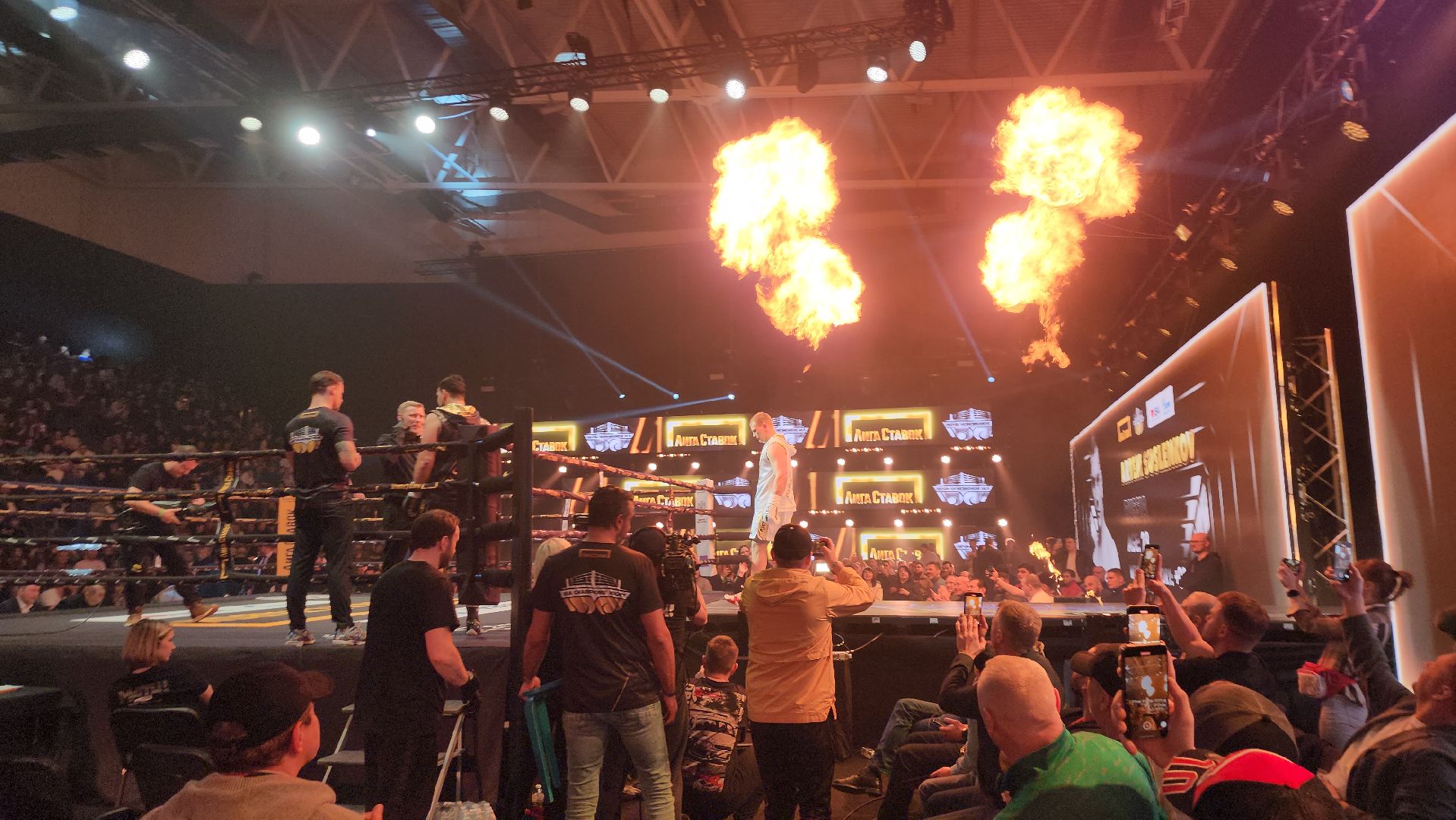 серпухов, подмосковье, сб лесная опушка, шумков, Сусленков, Сосулин, федерация бокса россии,