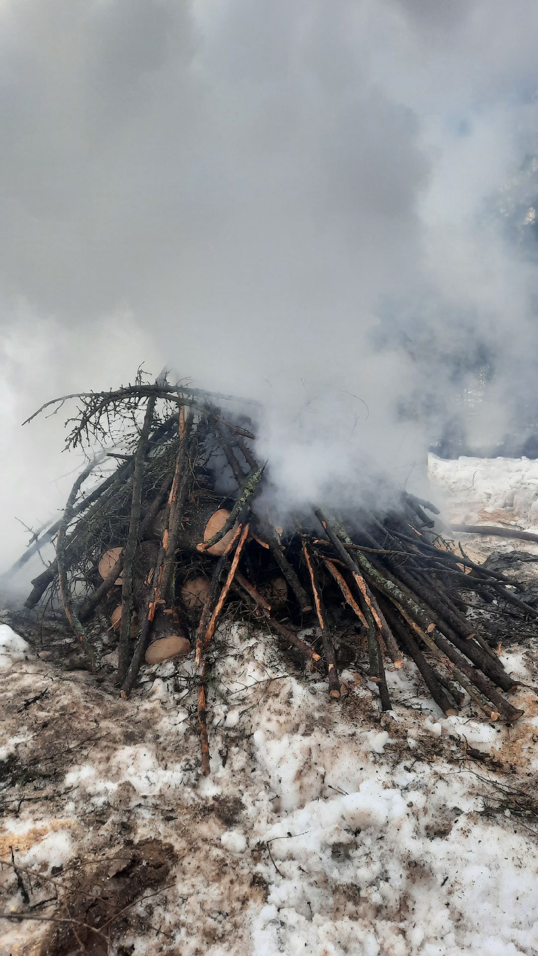 Нарофоминск, учения, пожар, горитлес, леснаяохрана, мсч, тушениепожара, пожароопасныйсезон