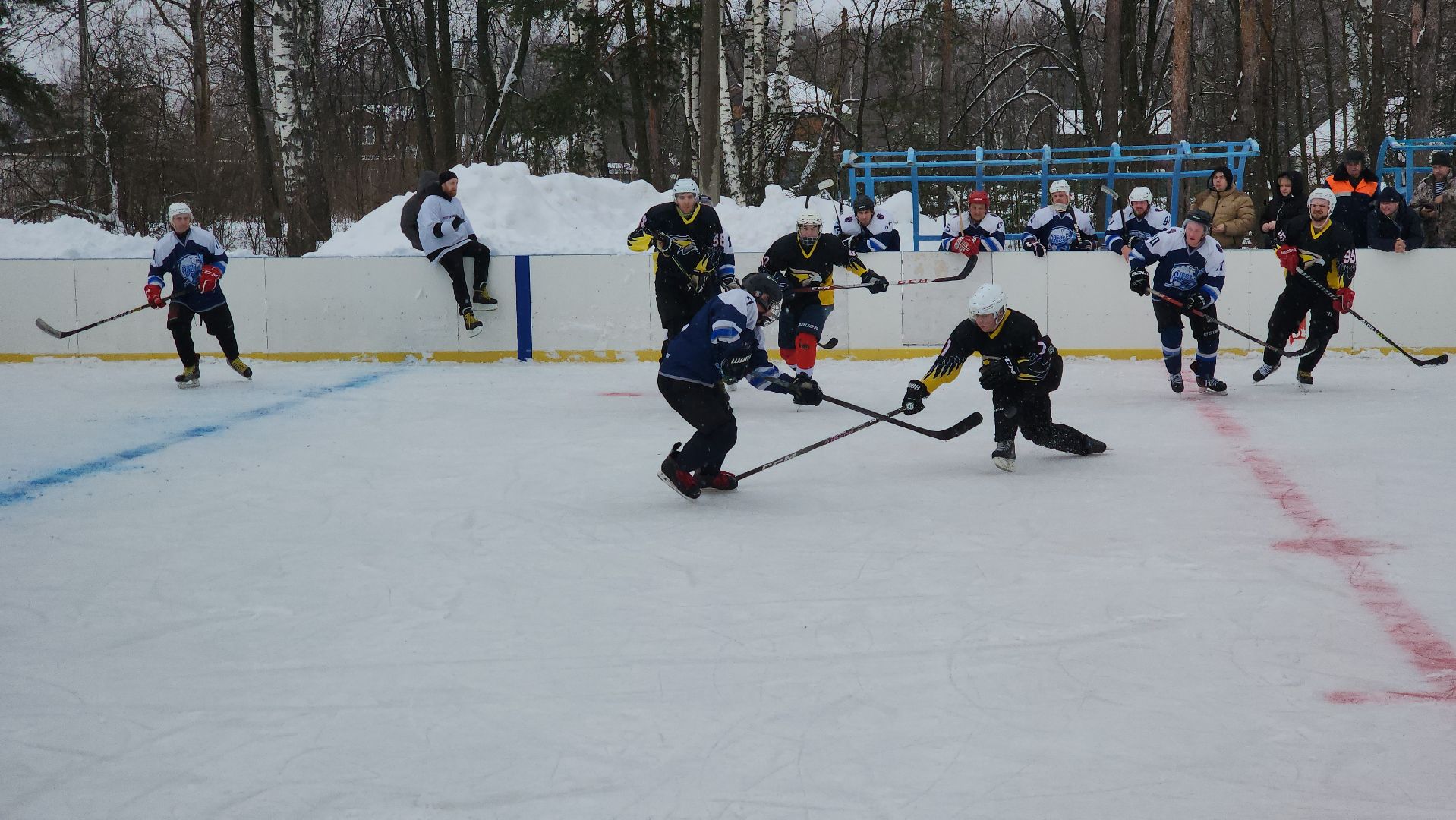 шатура, ястребы, озеро белое, хоккей, спорт подмосковья, зима в подмосковье, городской округ спорт,