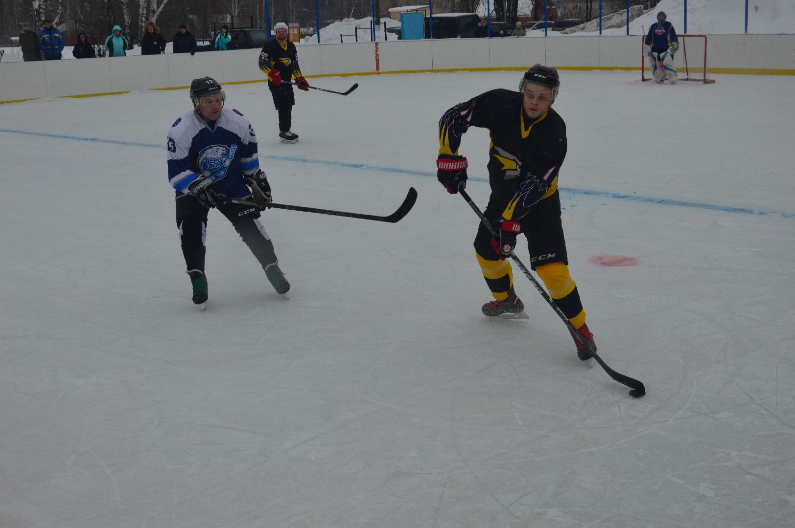 шатура, ястребы, озеро белое, хоккей, спорт подмосковья, зима в подмосковье, городской округ спорт,