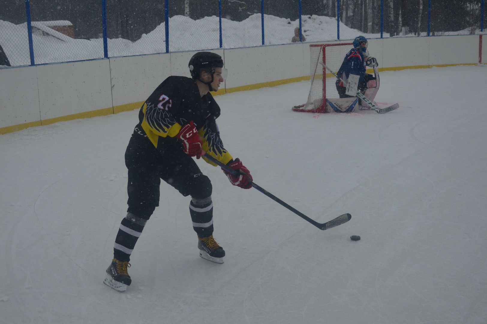 шатура, ястребы, озеро белое, хоккей, спорт подмосковья, зима в подмосковье, городской округ спорт,