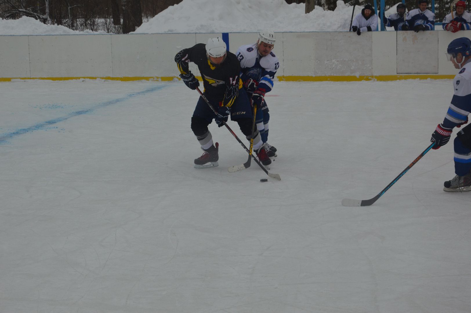 шатура, ястребы, озеро белое, хоккей, спорт подмосковья, зима в подмосковье, городской округ спорт,