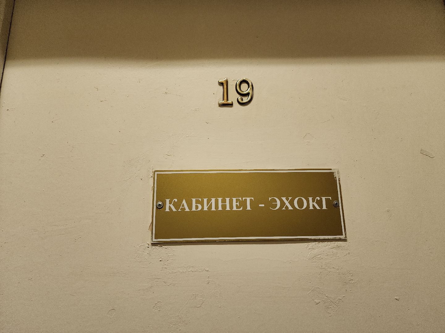 коломна, медицина, день борьбы против рака,