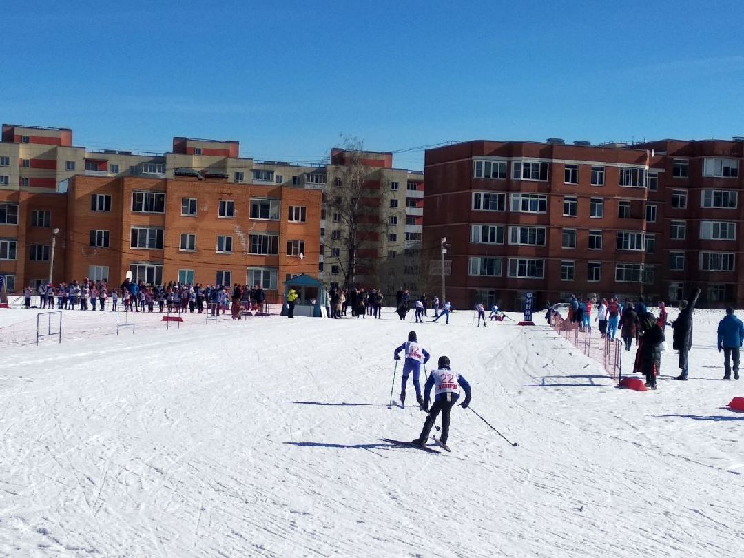 Дмитров, ЦЗВС, Минспорта МО