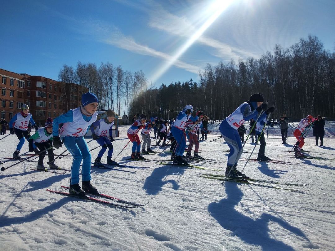 Дмитров, ЦЗВС, Минспорта МО