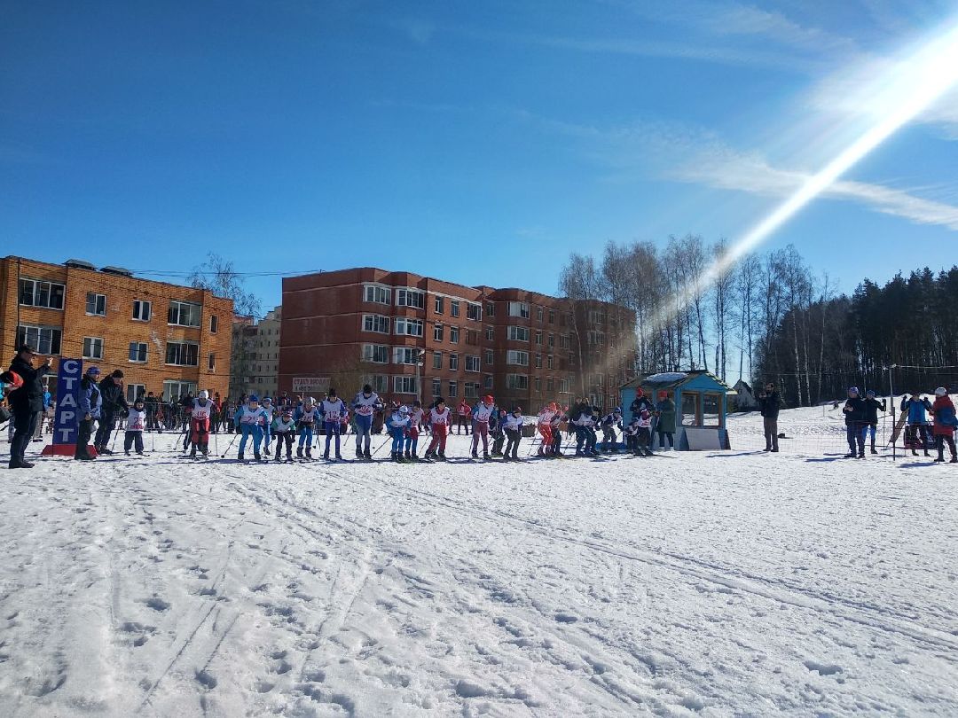 Дмитров, ЦЗВС, Минспорта МО