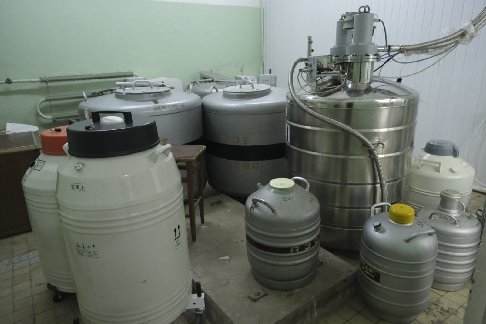 пущино, наука, ученые, животные,