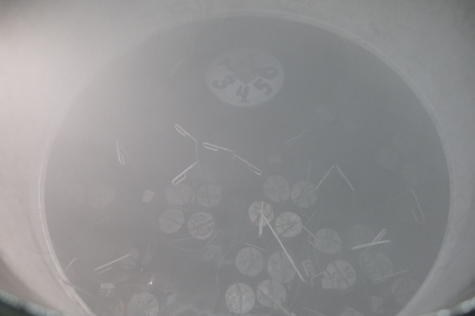 пущино, наука, ученые, животные,