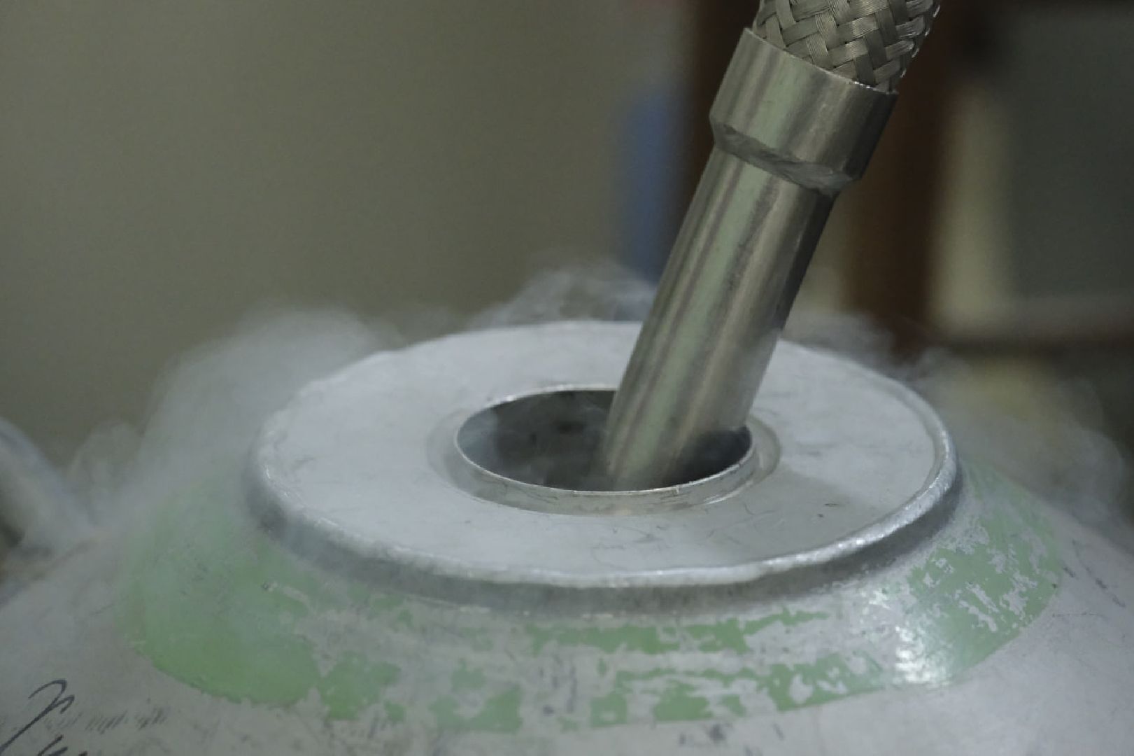 пущино, наука, ученые, животные,