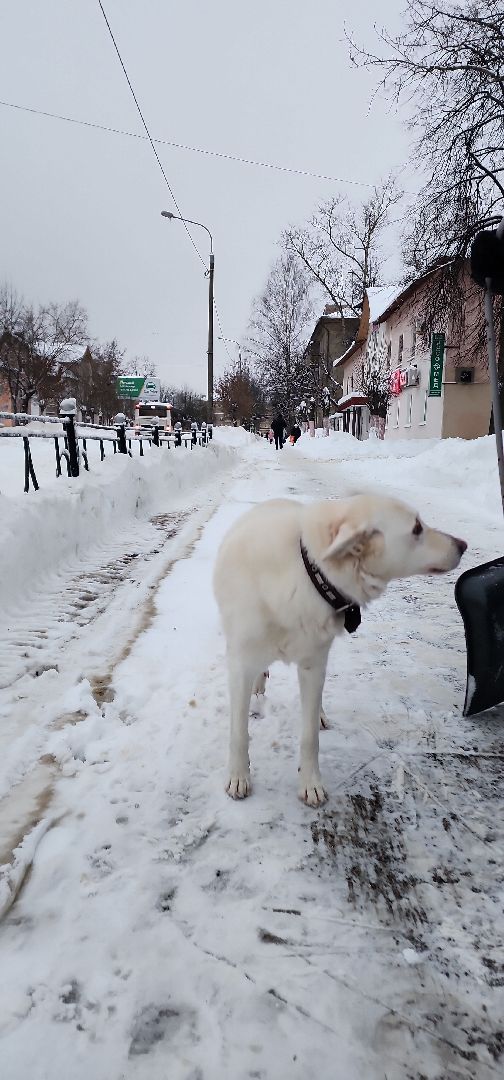 электросталь, мой город, благоустройство, уборка дворов, уборка дорог, уборка общественных территорий, уборка снега с крыш, уборка улиц, жкх,