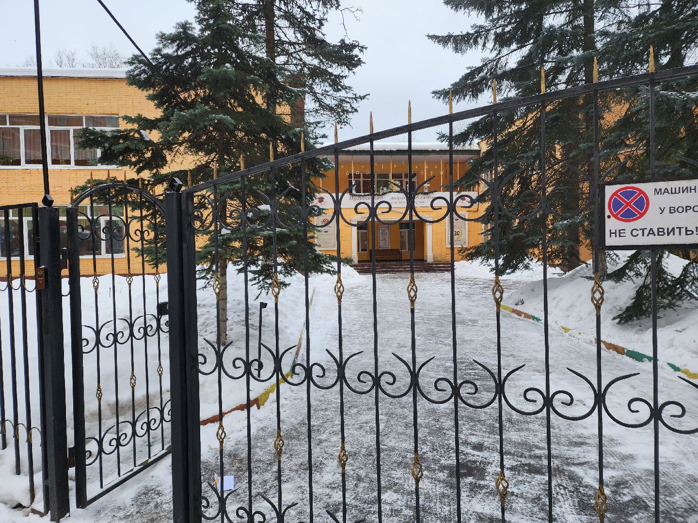 пушкино, лицей, дополнительное образование, день открытых дверей, обучение, школьники,