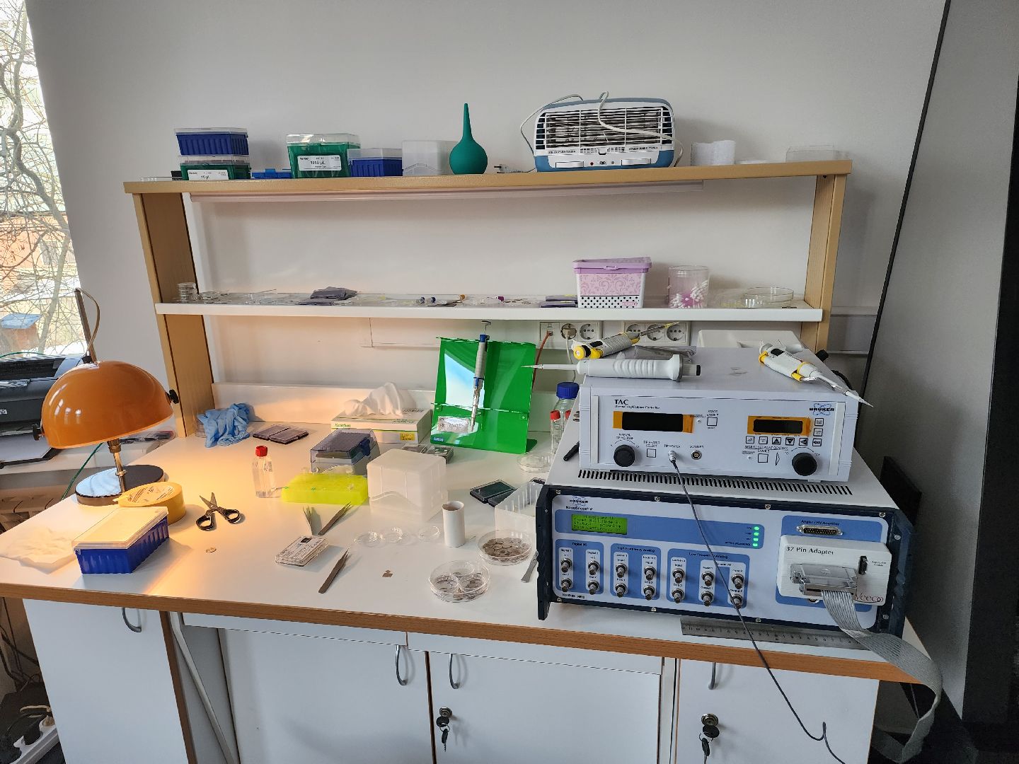 долгопрудный, мфти, ИФХЭ РАН, молекулярная медицина,