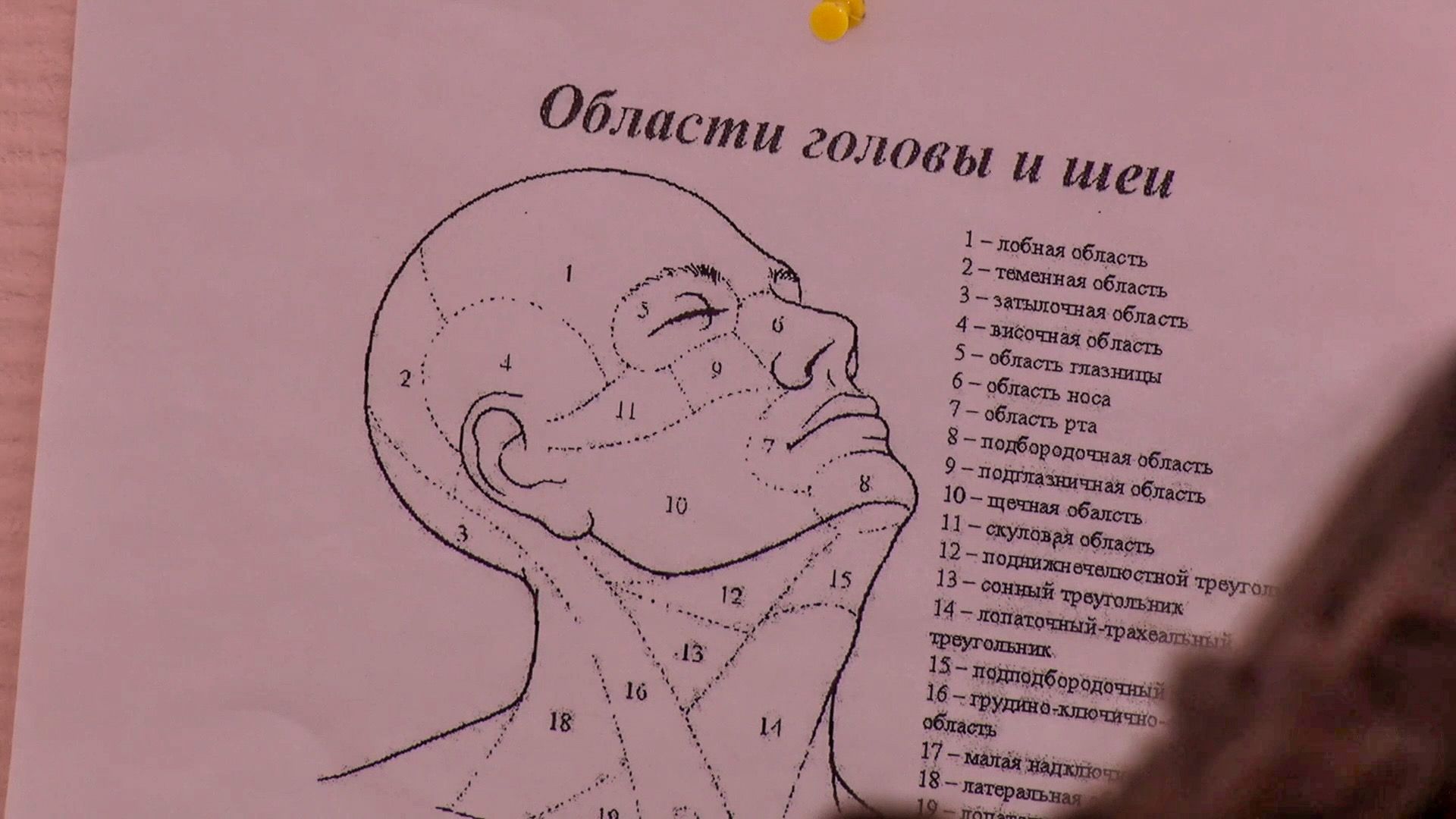 общество, медицина, люди, врачи, акции, онкология,