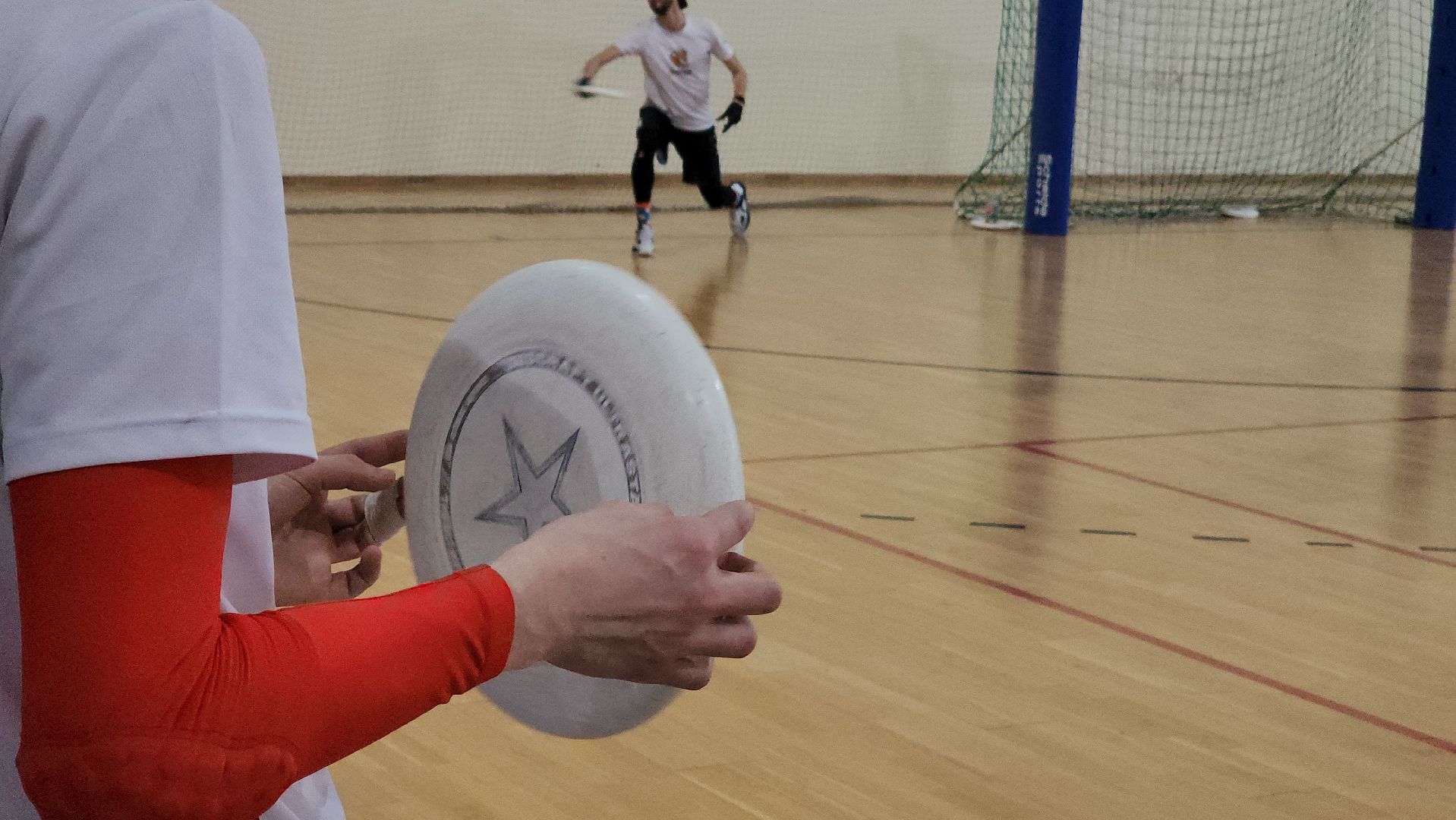 фризби, алтимат, спорт, дс импульс, протвино,