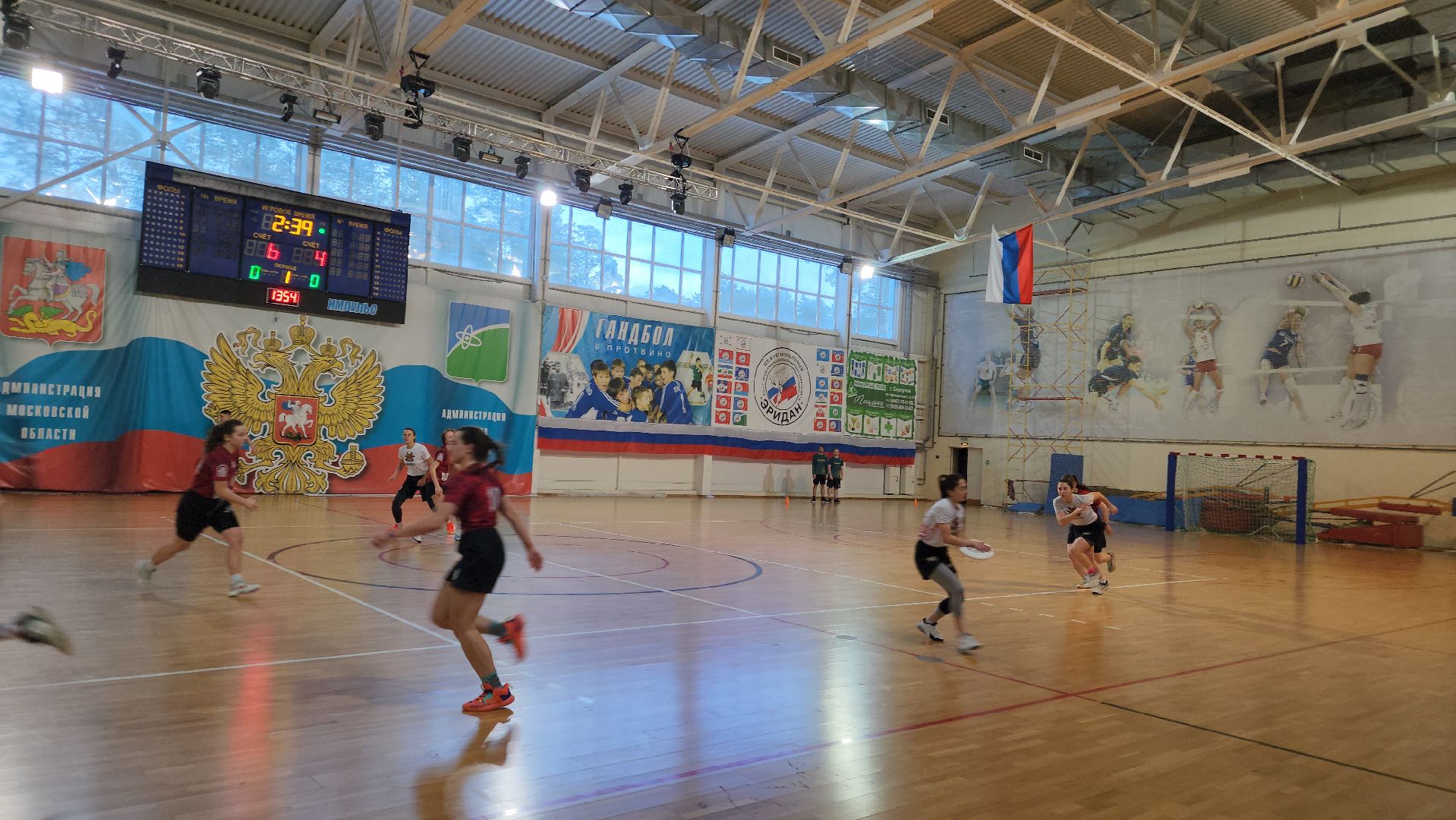 фризби, алтимат, спорт, дс импульс, протвино,