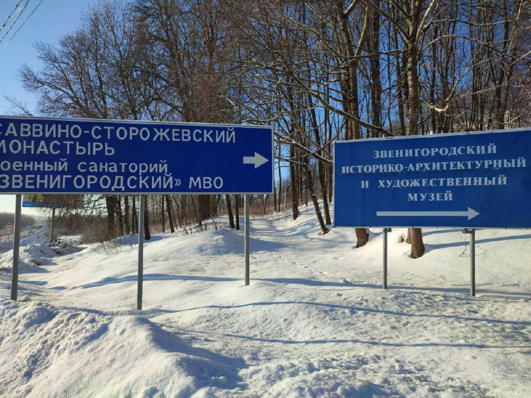 Звенигород, общество