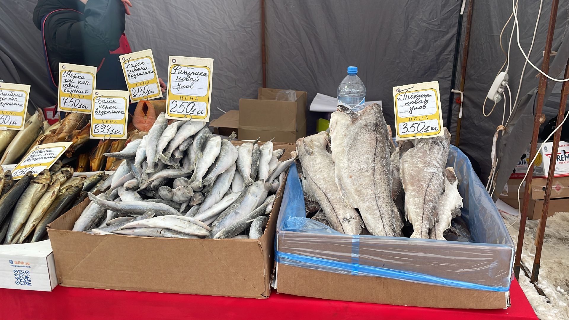 волоколамск, ярмарка,