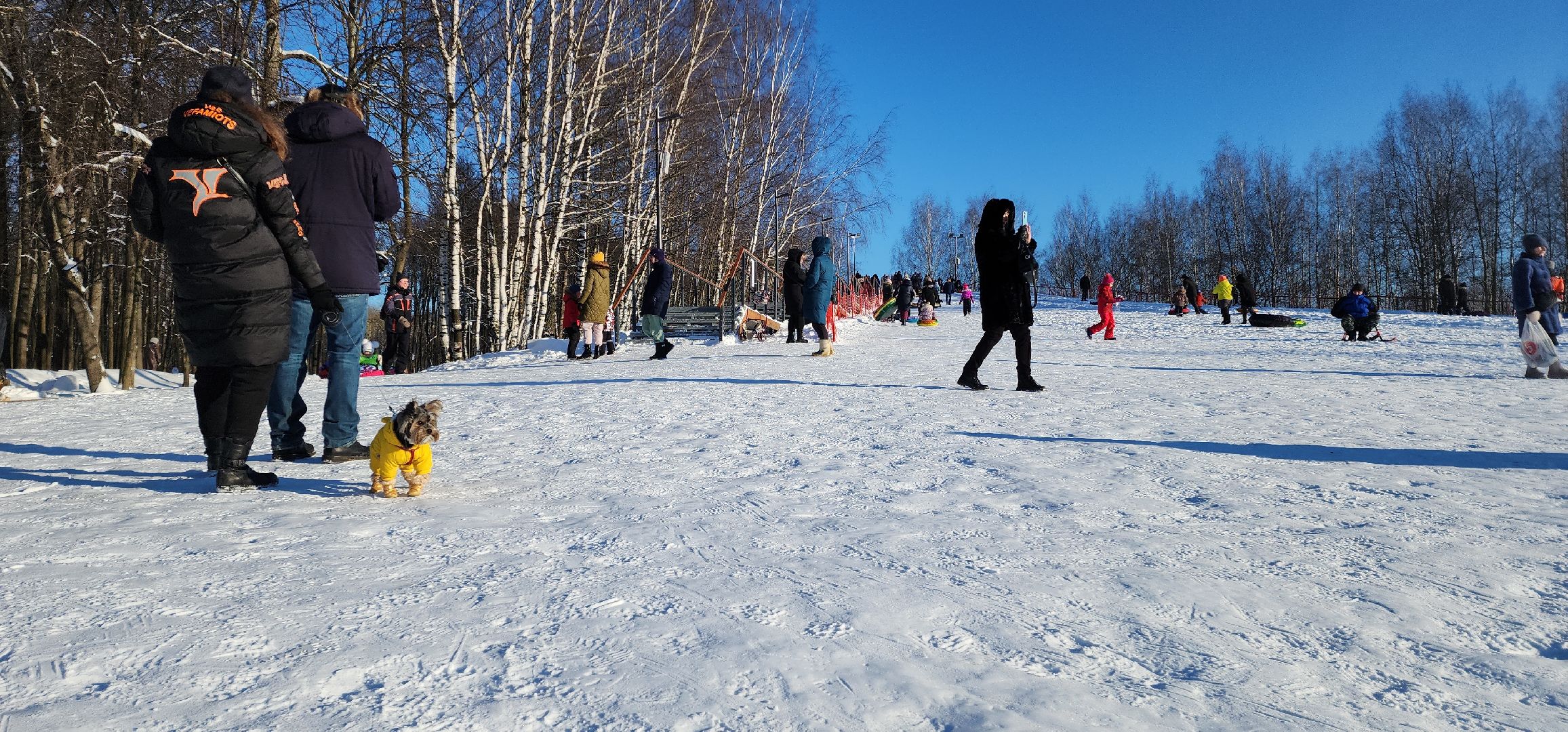 электросталь, парк, снежная горка, зима, зима 2024, зима в парках, зима в подмосковье, безопасность детей,