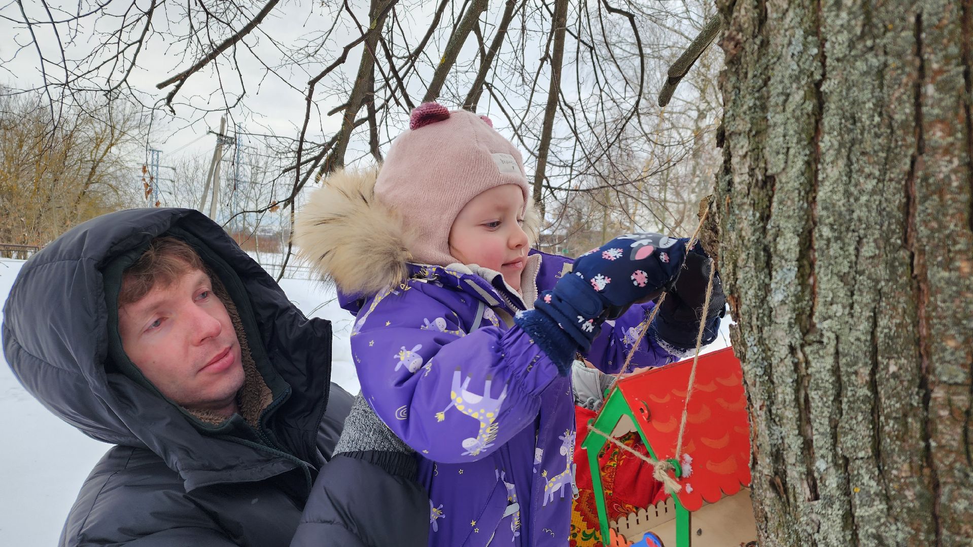 покормите птиц зимой, экологическая акция, Лосино-Петровский,