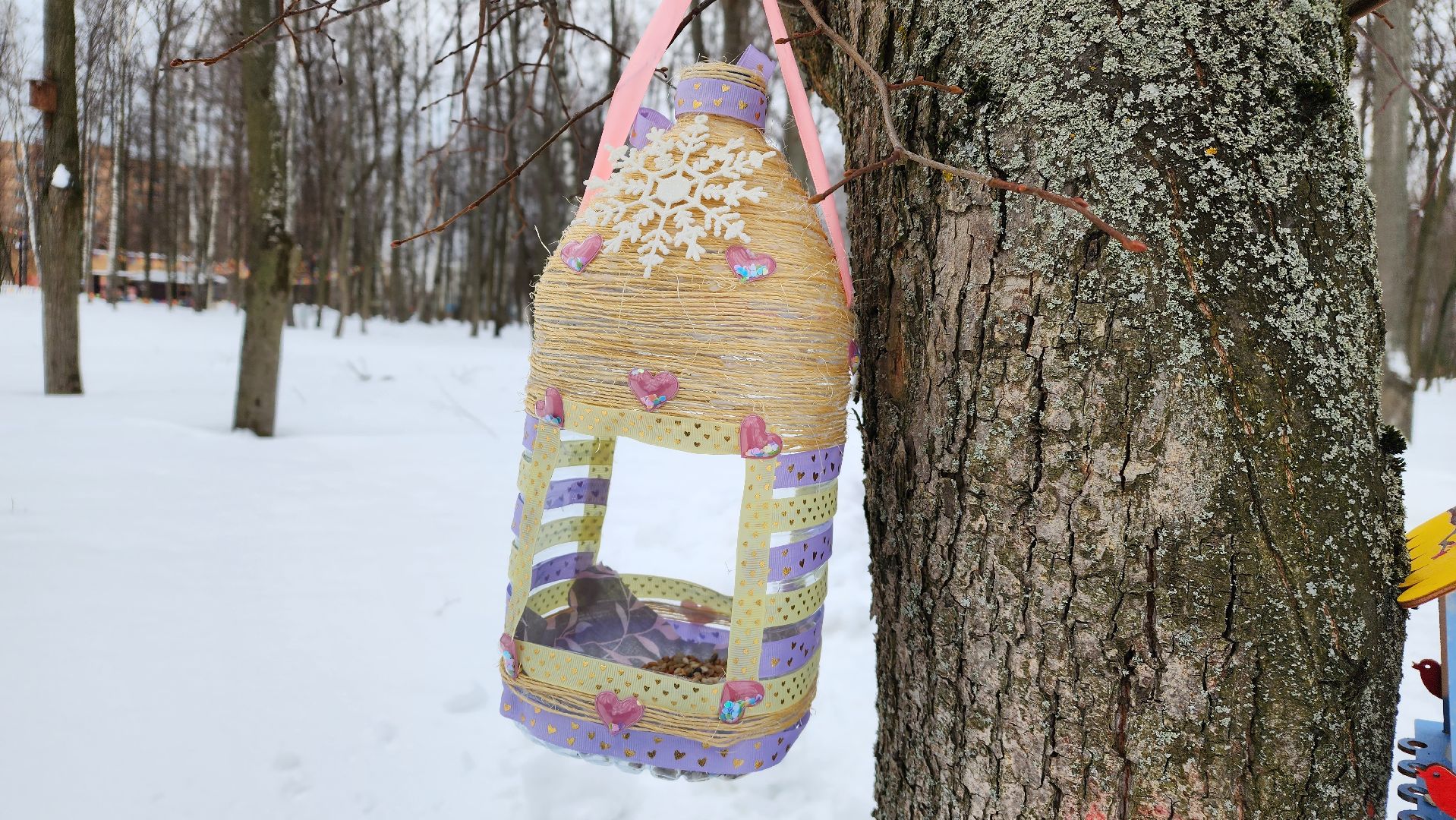 покормите птиц зимой, экологическая акция, Лосино-Петровский,