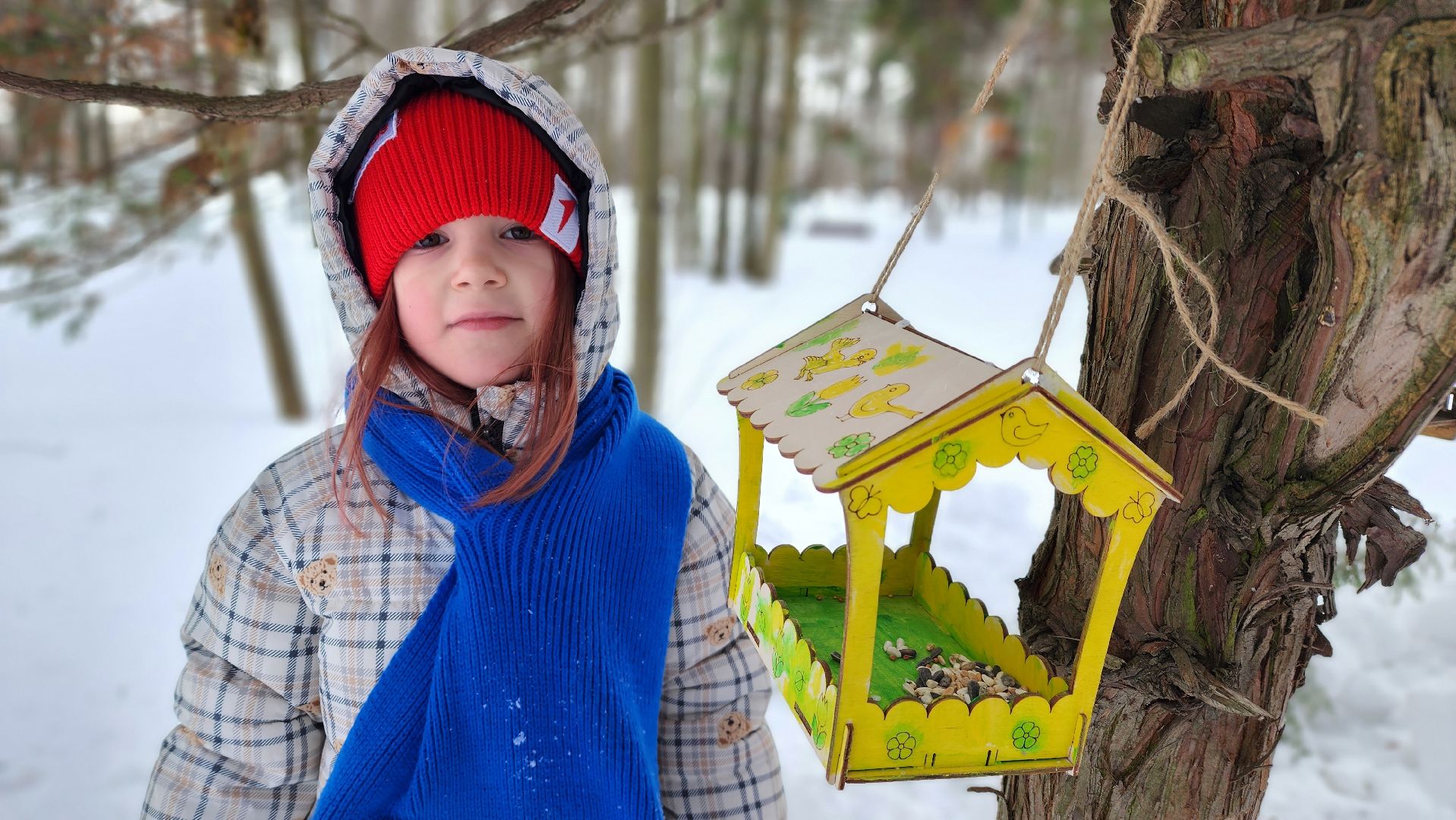 покормите птиц зимой, экологическая акция, Лосино-Петровский,
