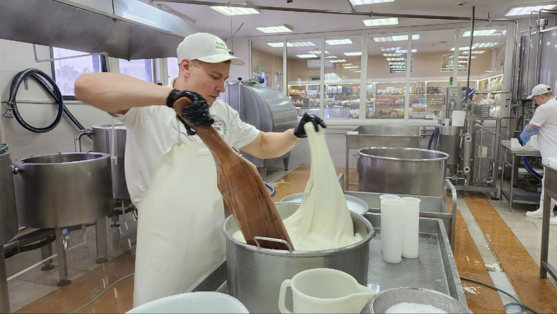 люберцы, сыроварня, субсидии,