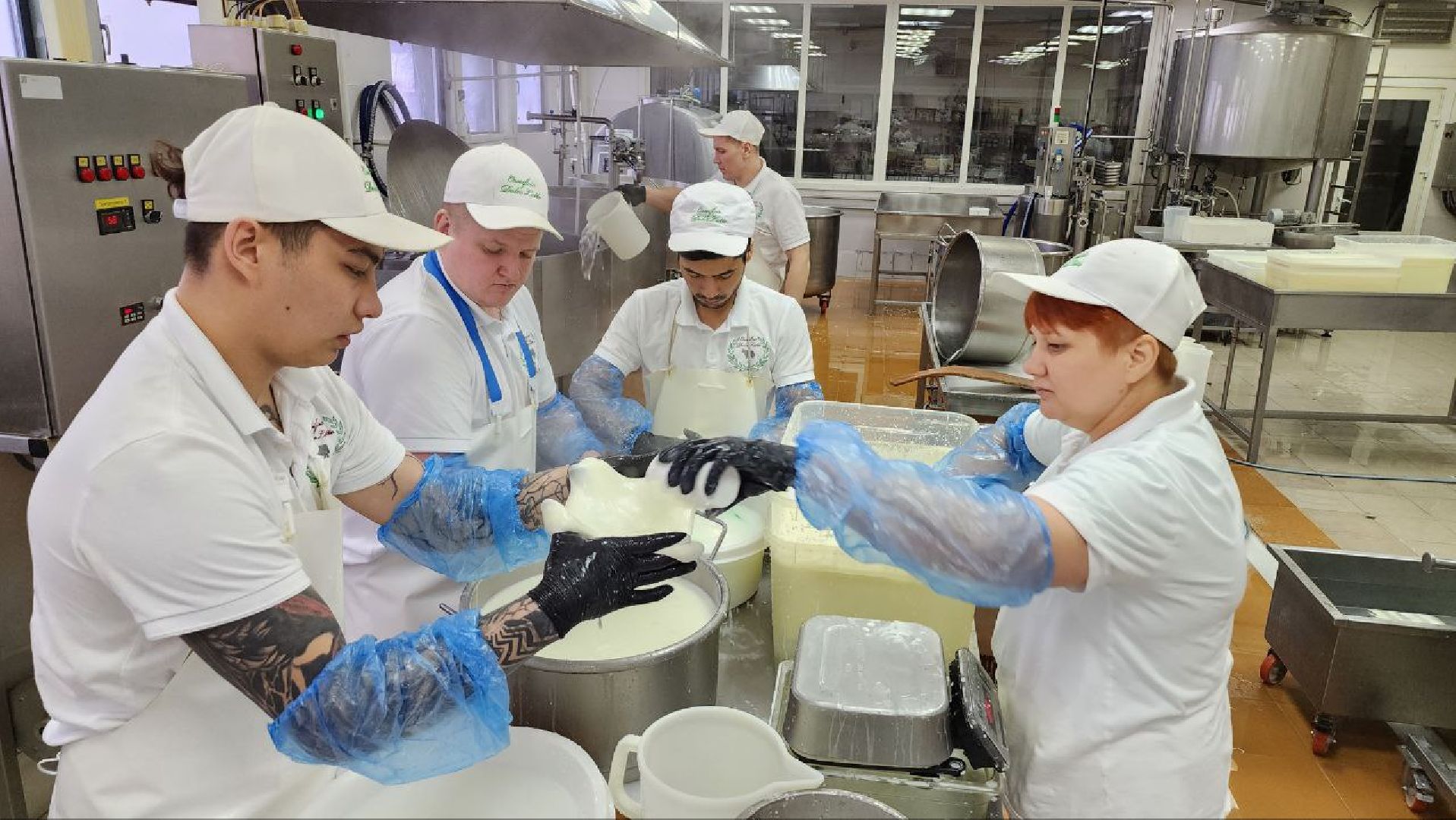 люберцы, сыроварня, субсидии,