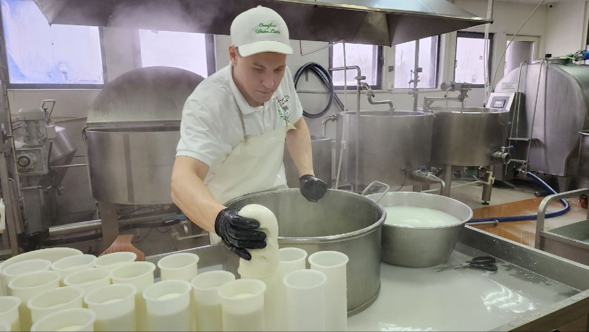 люберцы, сыроварня, субсидии,