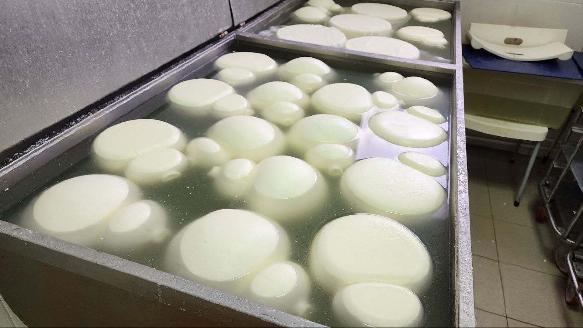 люберцы, сыроварня, субсидии,