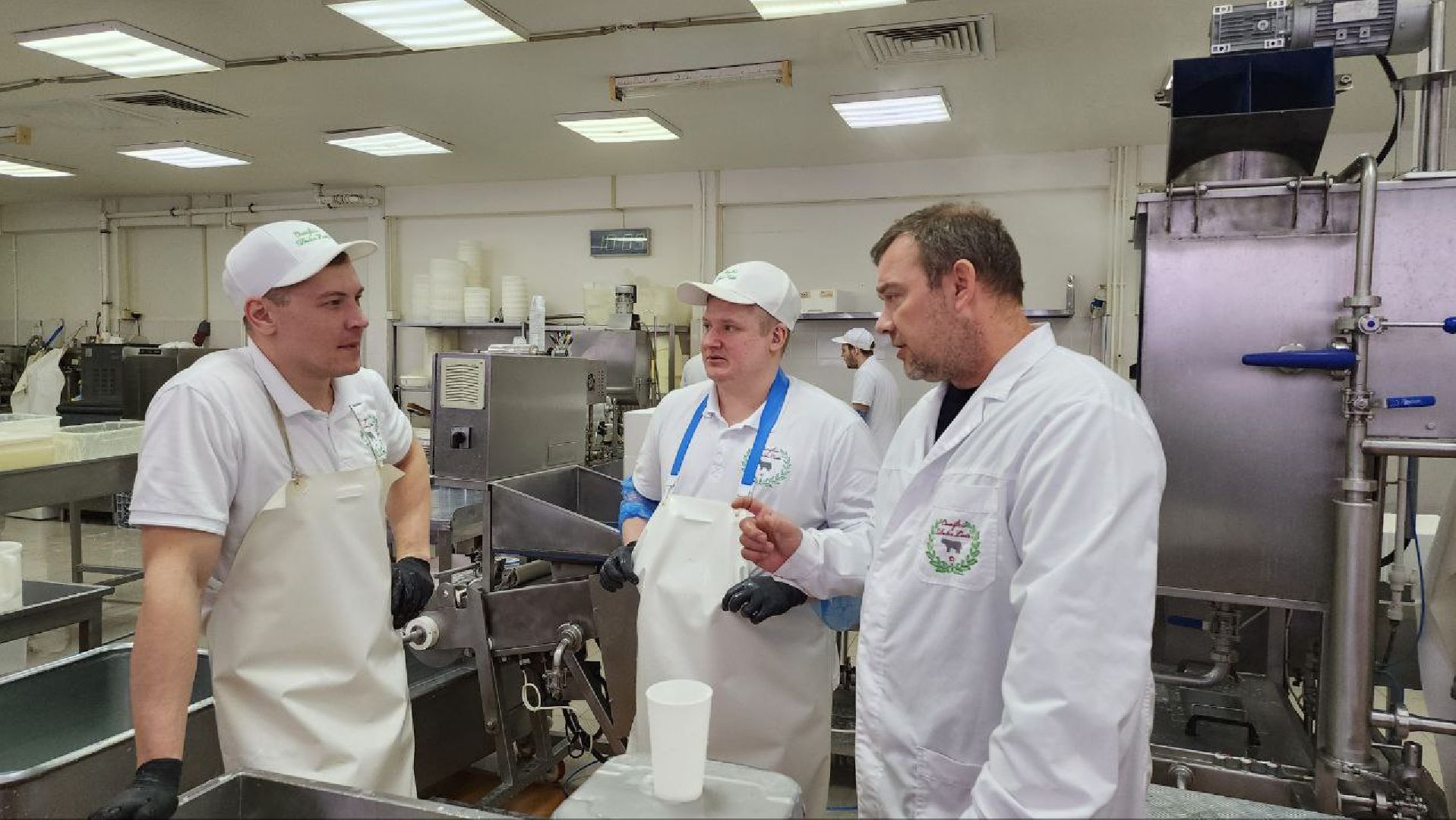 люберцы, сыроварня, субсидии,