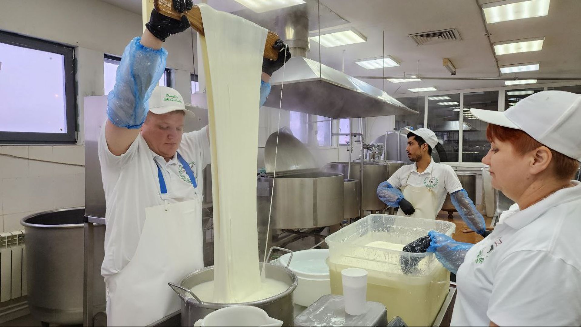 люберцы, сыроварня, субсидии,