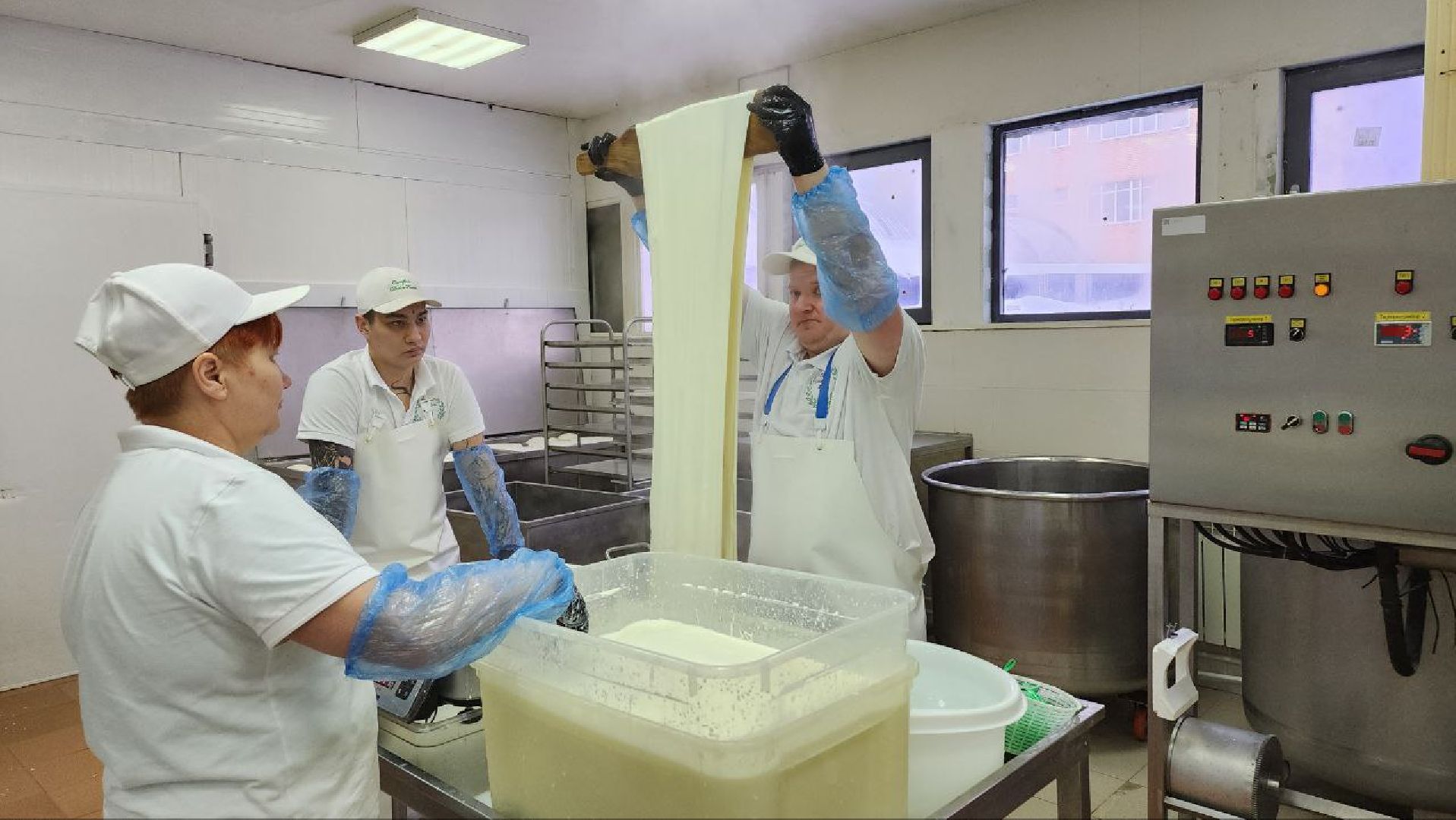 люберцы, сыроварня, субсидии,