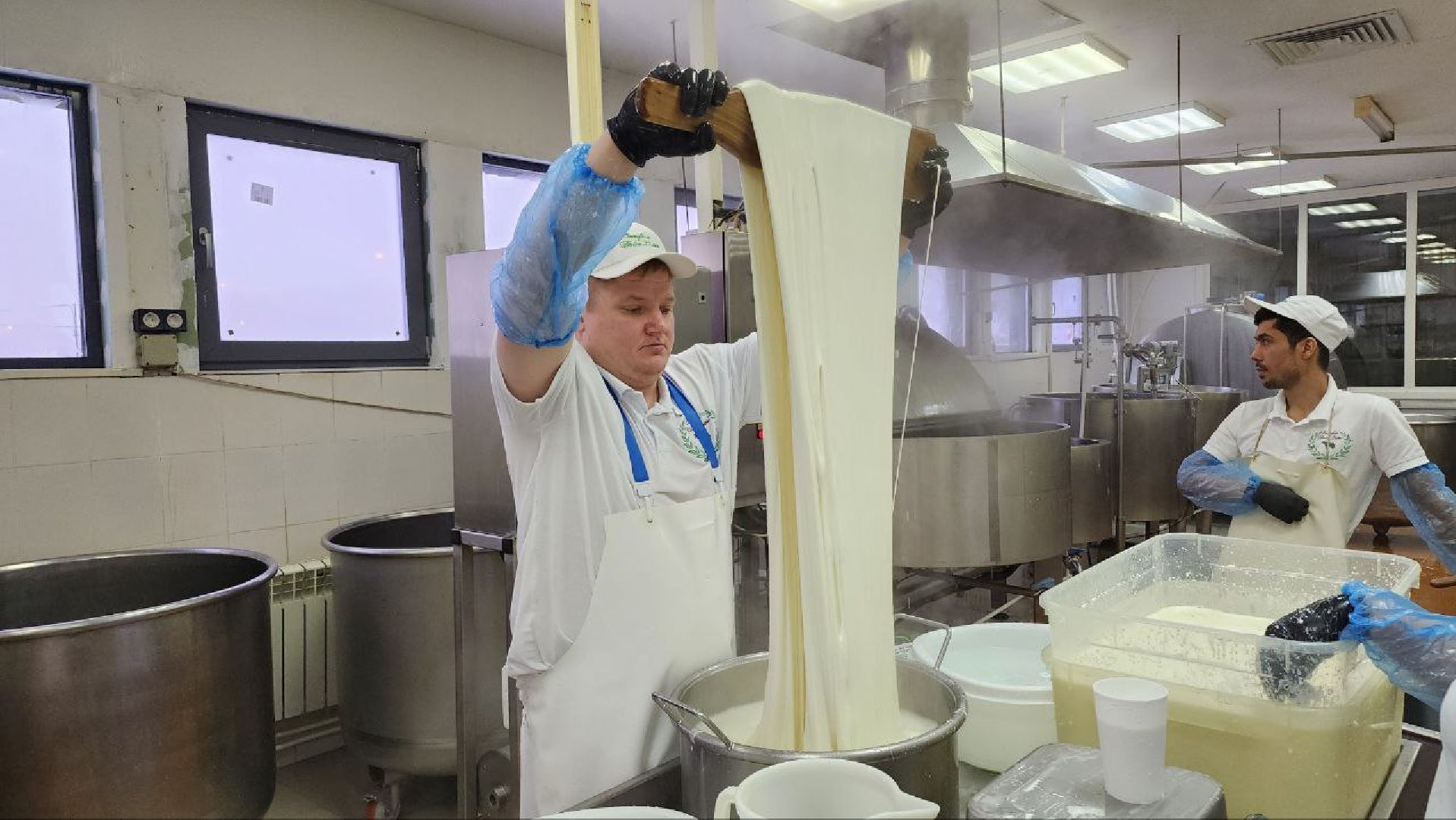 люберцы, сыроварня, субсидии,