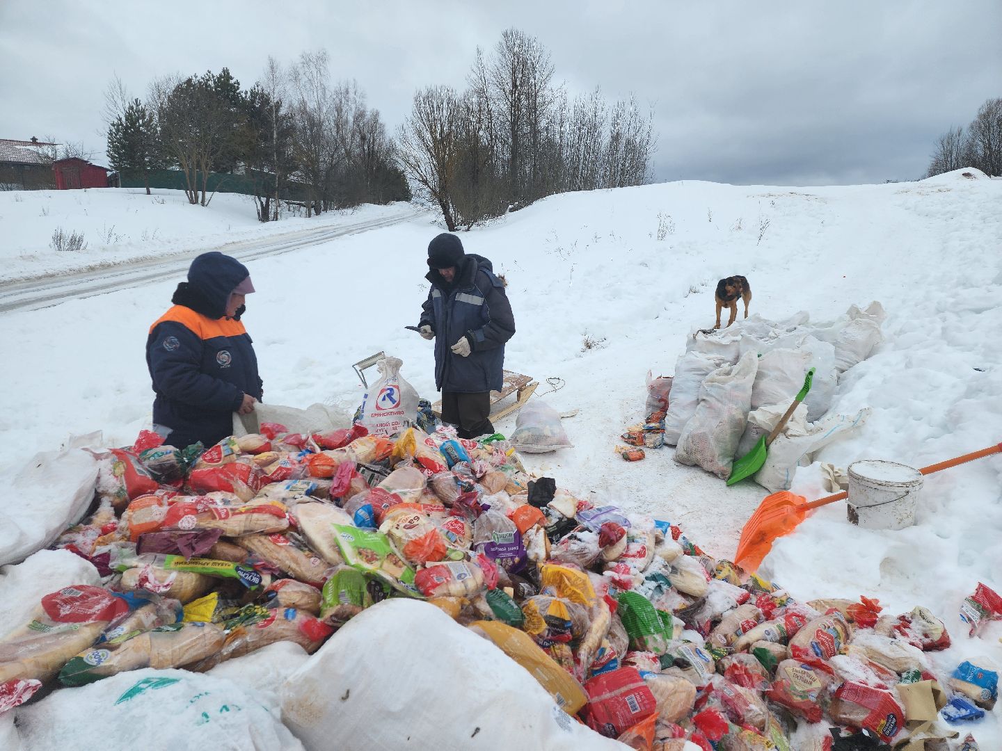 Серпухов, подмосковье, мусор, фермер,