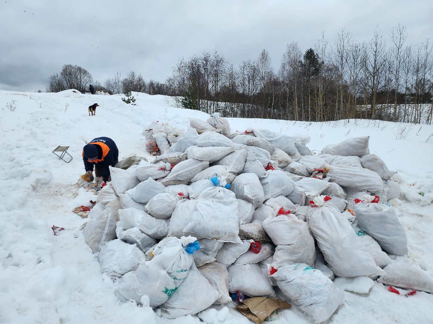 Серпухов, подмосковье, мусор, фермер,