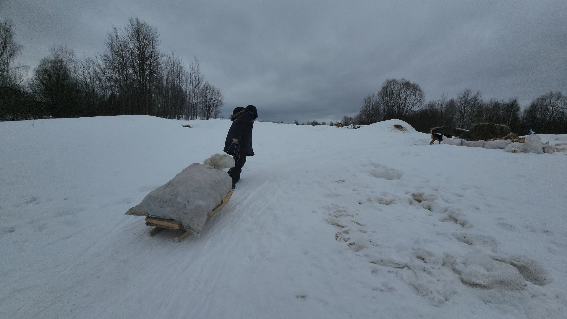 Серпухов, подмосковье, мусор, фермер,