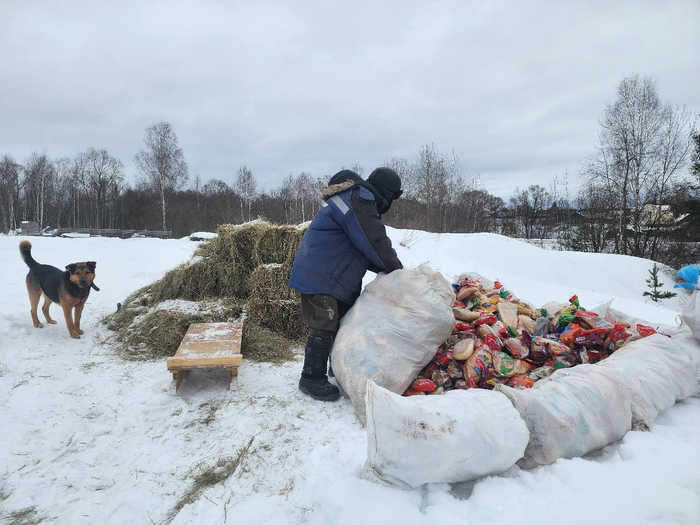 Серпухов, подмосковье, мусор, фермер,