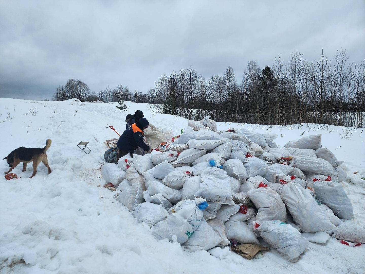 Серпухов, подмосковье, мусор, фермер,