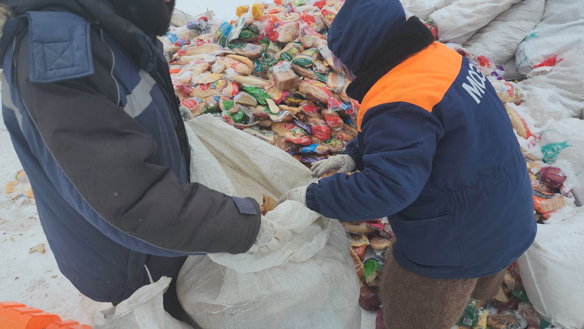 Серпухов, подмосковье, мусор, фермер,