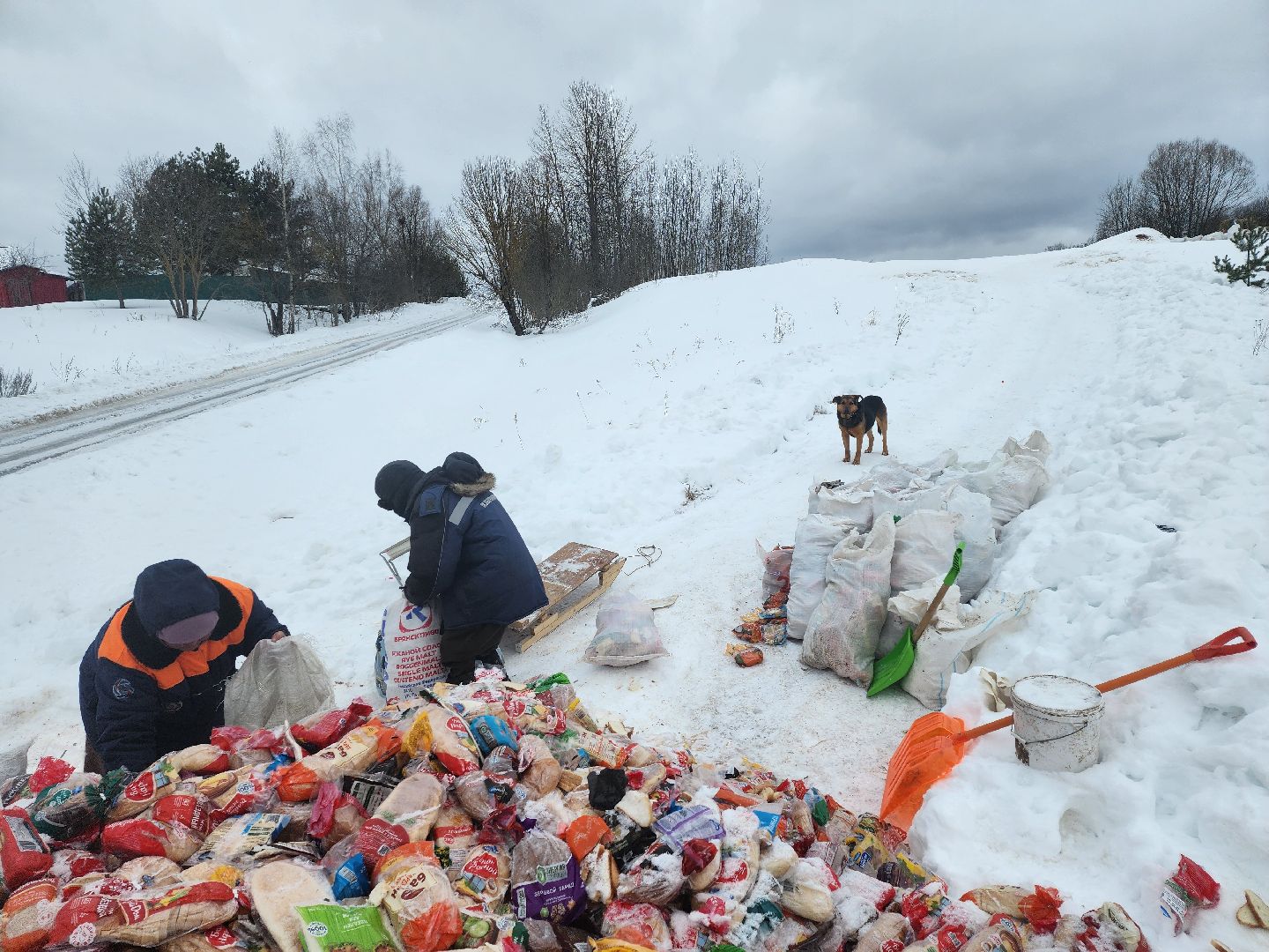 Серпухов, подмосковье, мусор, фермер,
