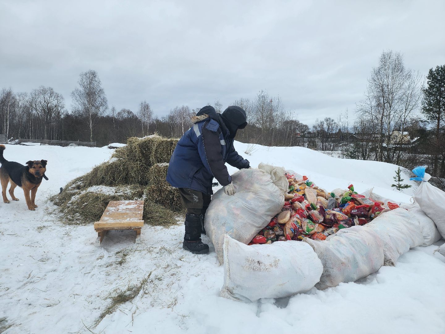 Серпухов, подмосковье, мусор, фермер,