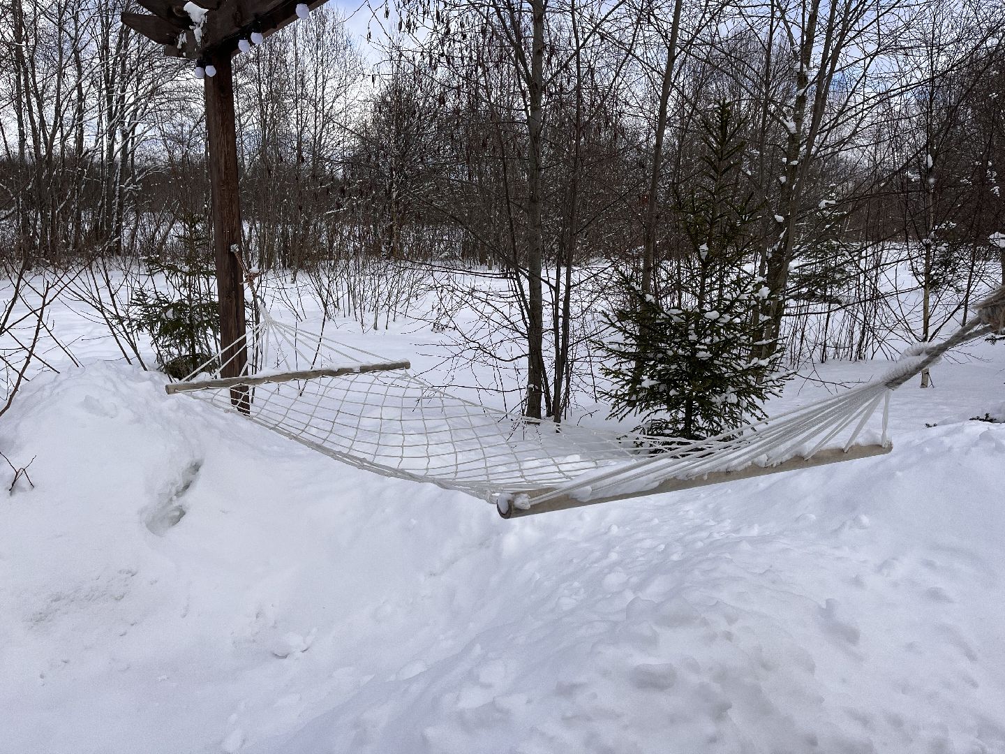 шаховская, глэмпинг, дом отдыха, Места отдыха,