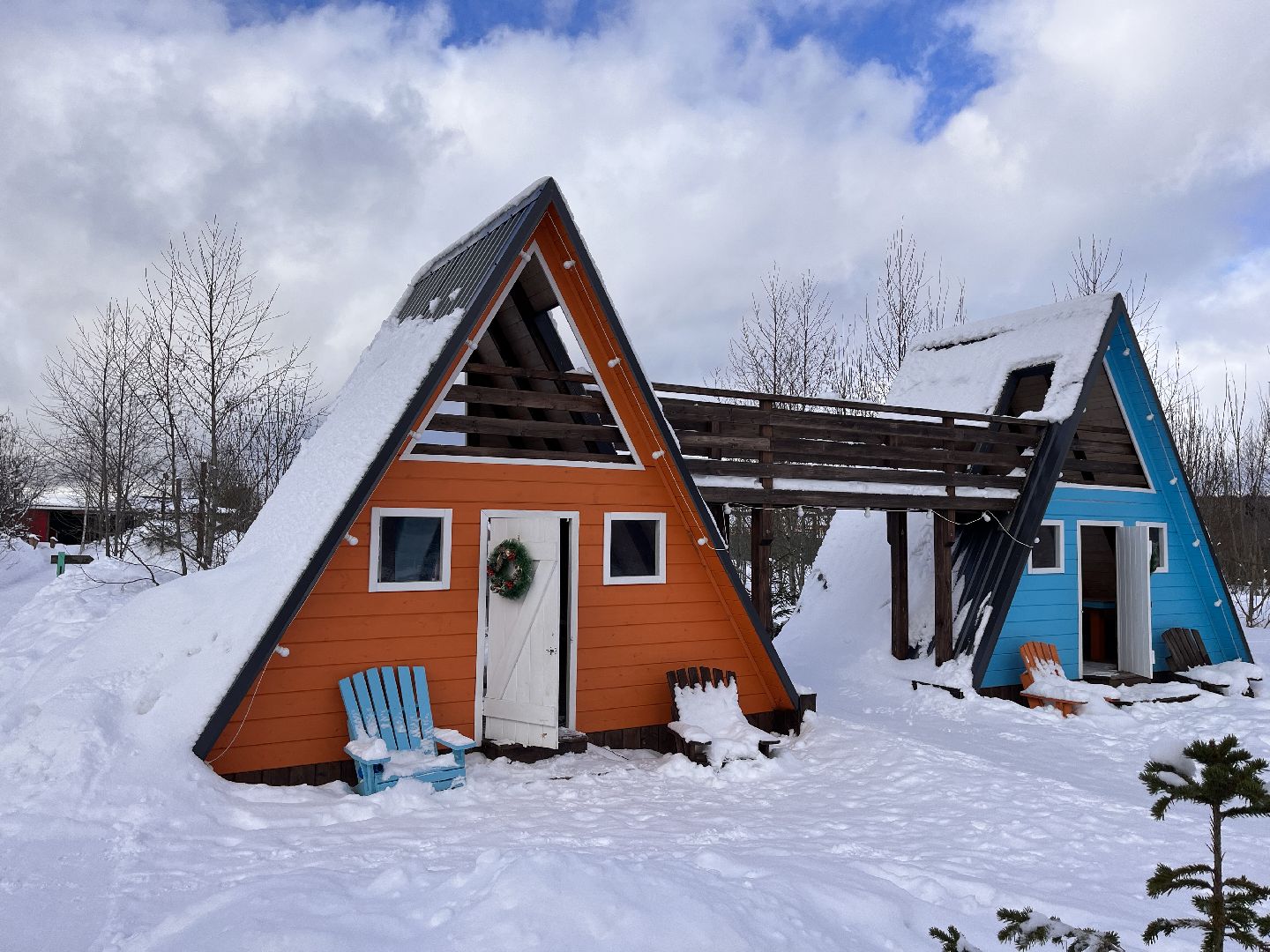 шаховская, глэмпинг, дом отдыха, Места отдыха,