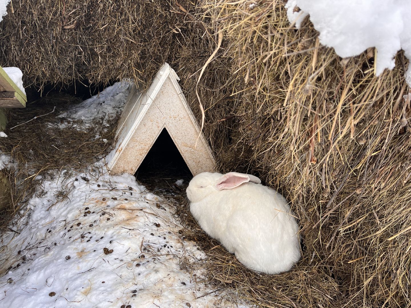 шаховская, глэмпинг, дом отдыха, Места отдыха,