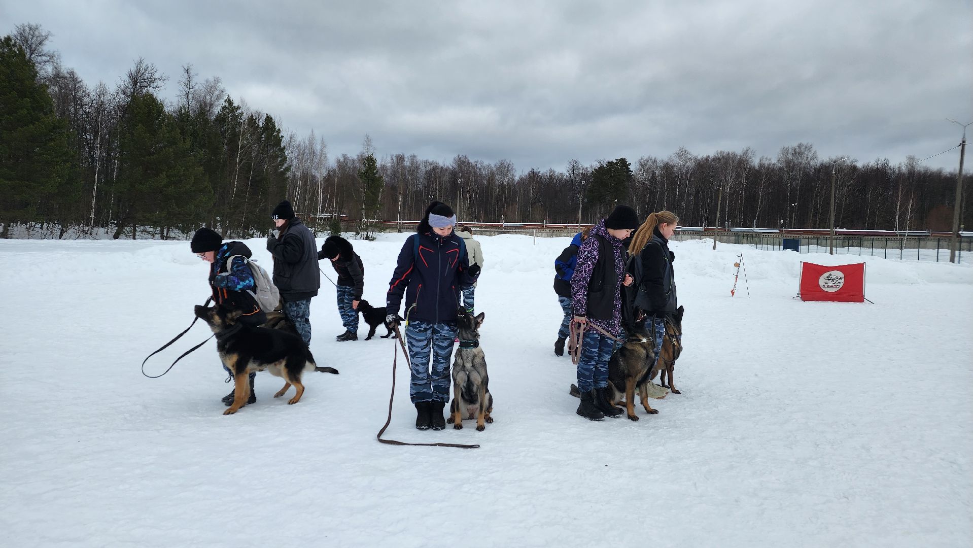 протвино, кинологи, губернский колледж, образование, образование подмосковья,