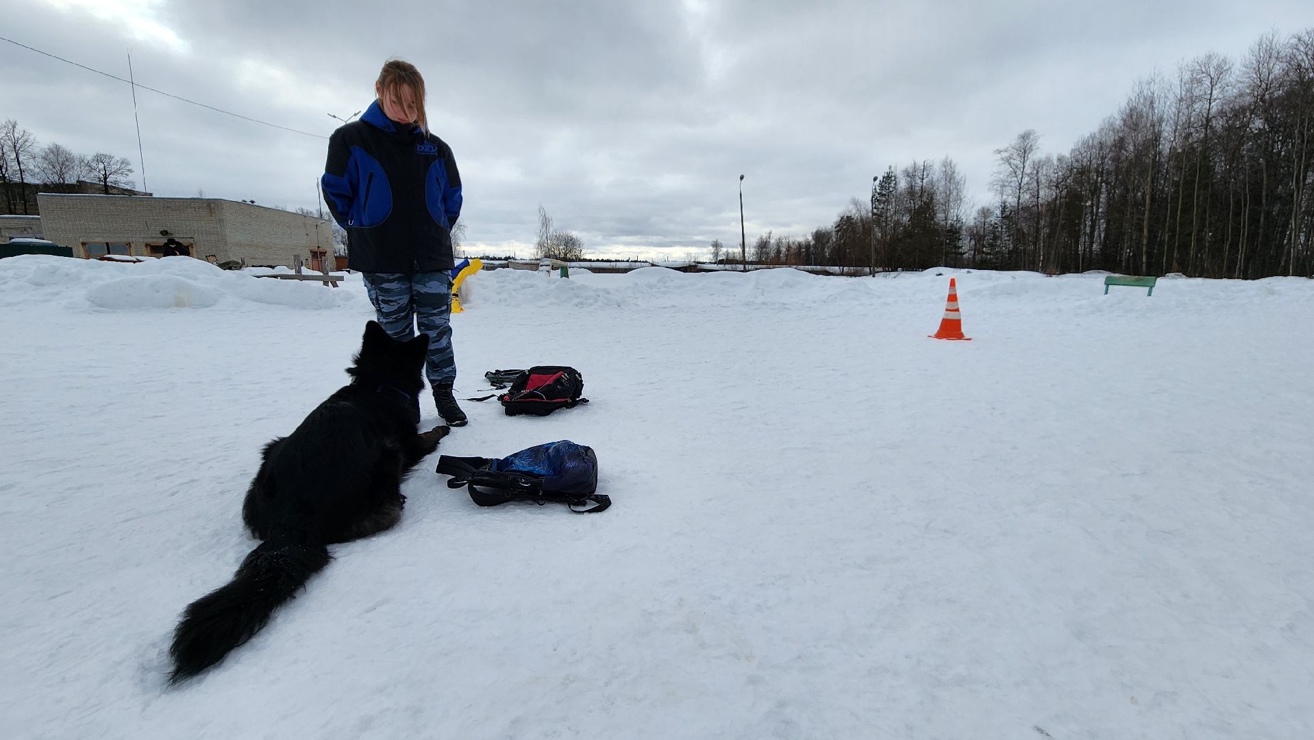 протвино, кинологи, губернский колледж, образование, образование подмосковья,