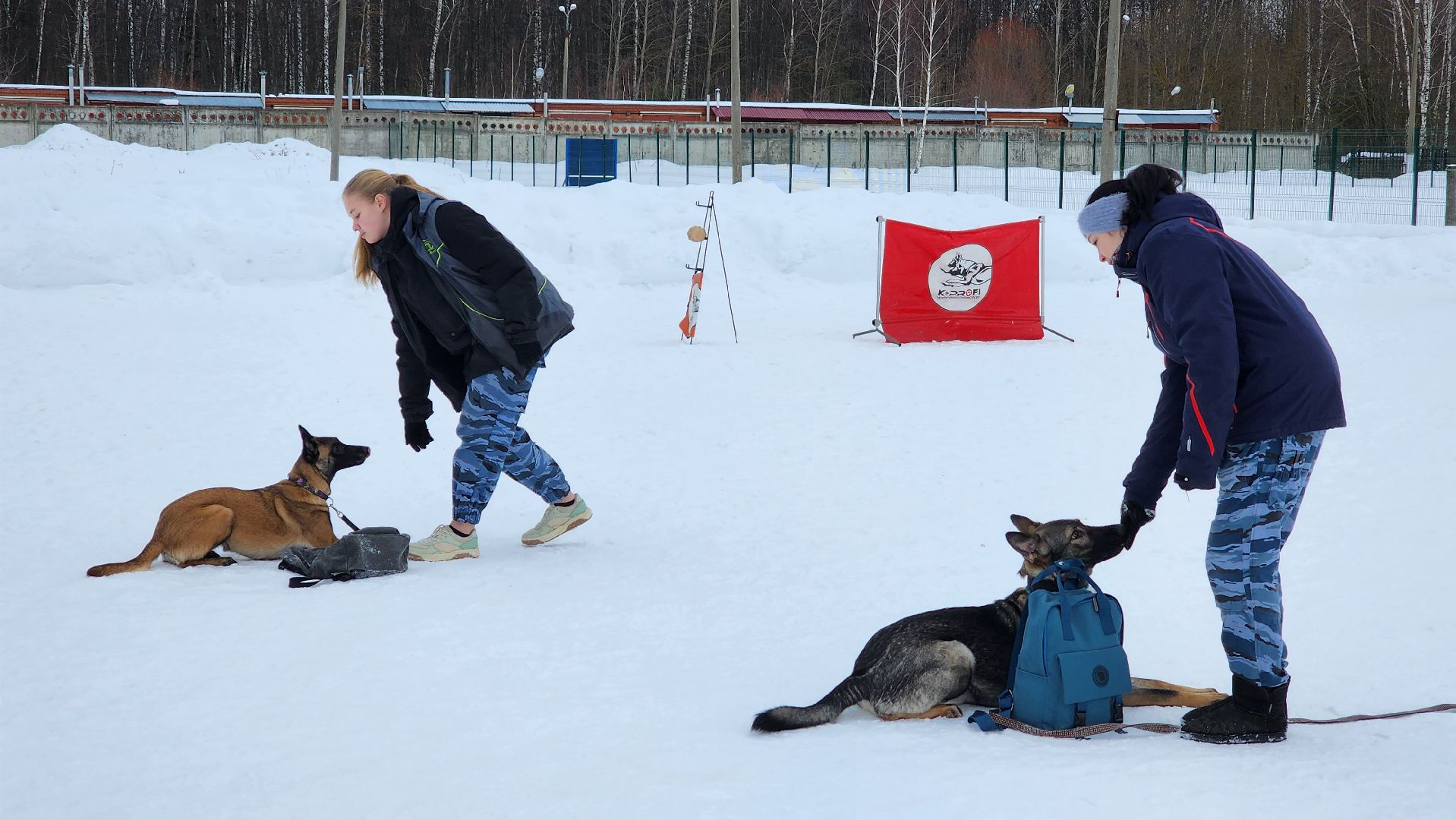 протвино, кинологи, губернский колледж, образование, образование подмосковья,