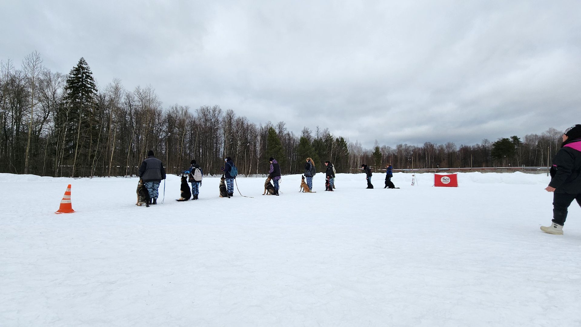 протвино, кинологи, губернский колледж, образование, образование подмосковья,