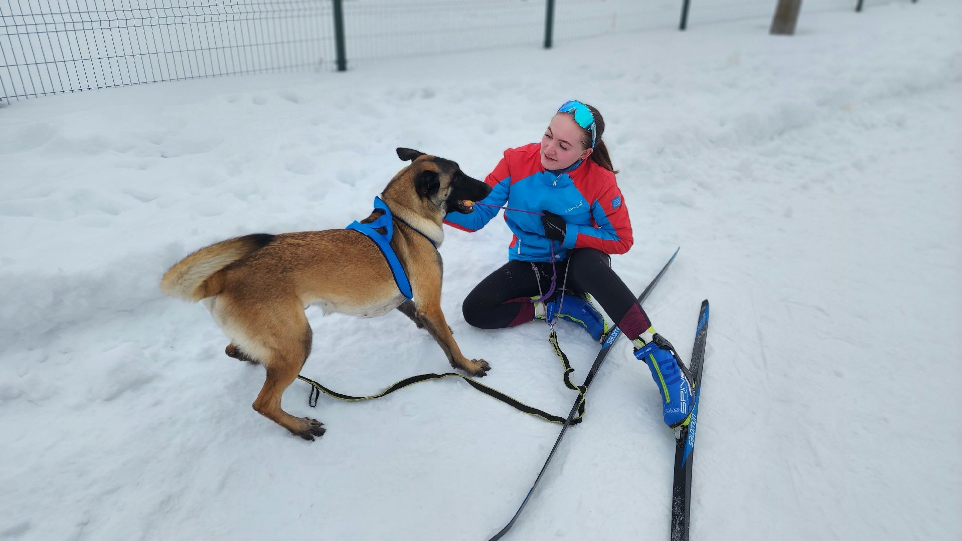 протвино, кинологи, губернский колледж, образование, образование подмосковья,